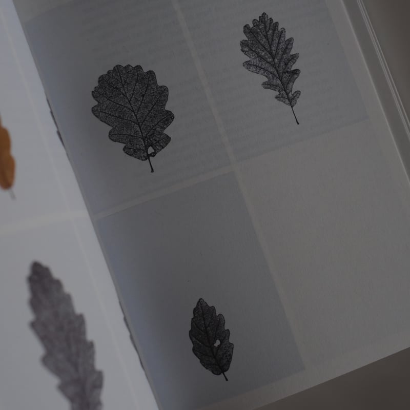 HERMAN DE VRIES - PUBLISHER / Herman De Vries |