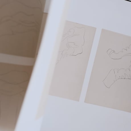 INTERACTION OF ALBERS / Hans G. Conrad