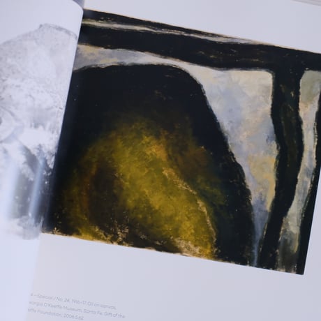 GEORGIA O'KEEFFE, PHOTOGRAPHER by Georgia O'Keeffe
