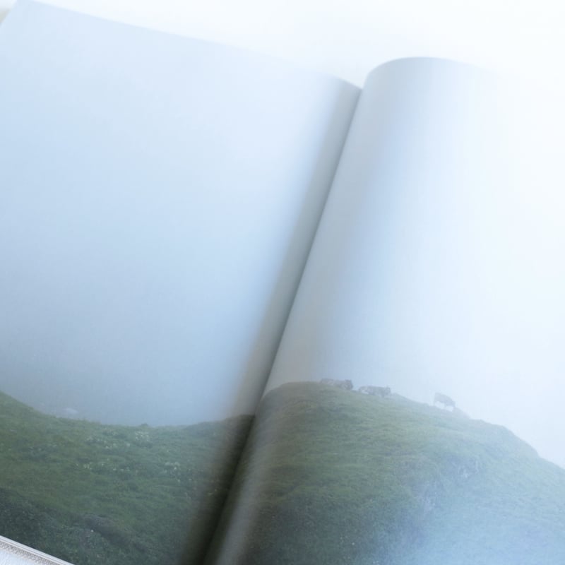 工芸青花13号 | archipelago