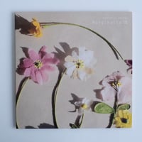 Marginalia Ⅷ / Masakatsu Takagi　(LP)