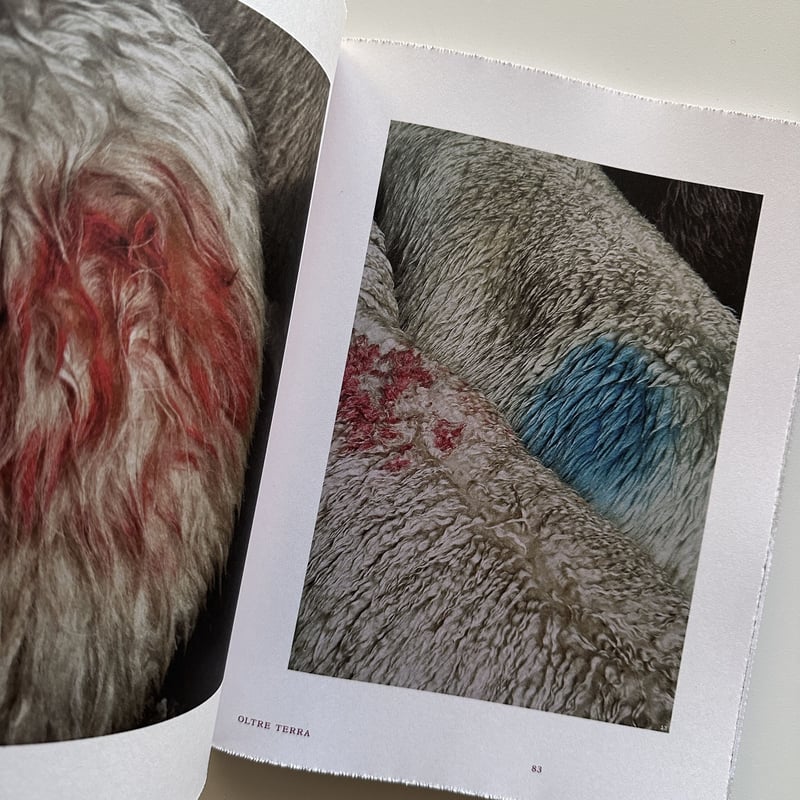洋書 FORMAFANTASMA OLTRE TERRA Formafantasma: Oltre Terra – COPYRIGHT Bookshop
