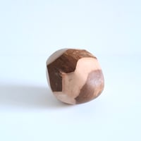福井守 Object／桜