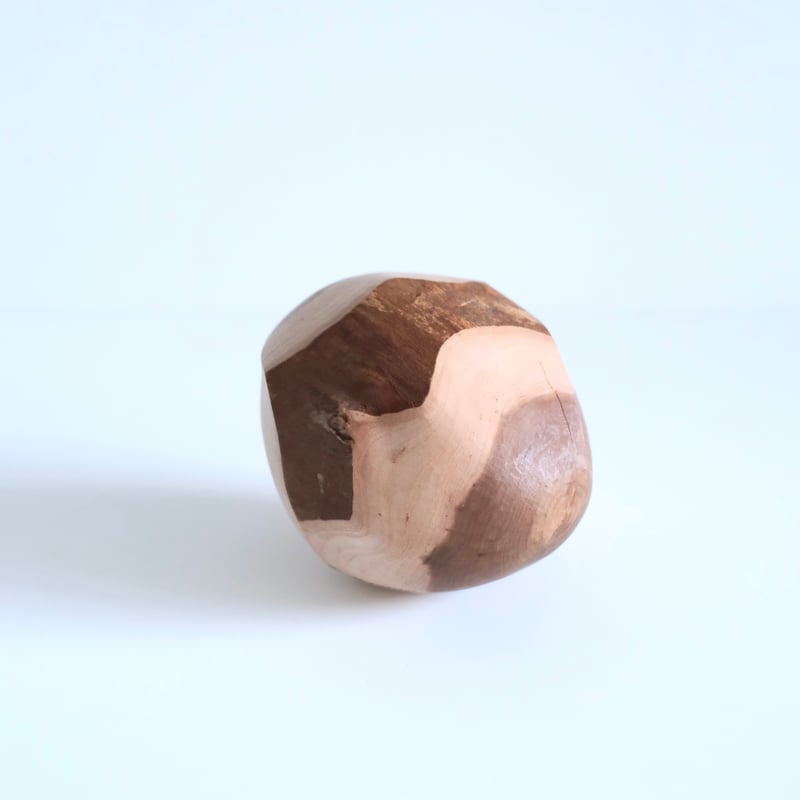 ✨希少✨福井 守さん作 木製オブジェクト 桜の木 福井守 Object／桜 | archipelago