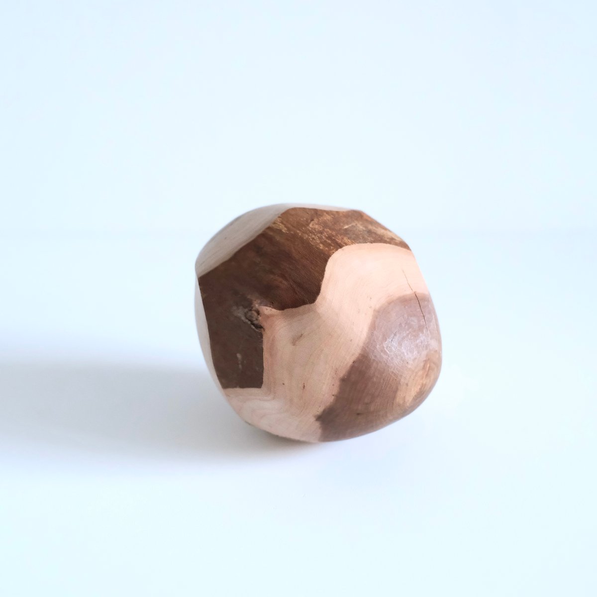 福井守 Object／桜 | archipelago