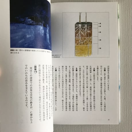 土中環境 忘れられた共生のまなざし、蘇る古の技/高田宏臣