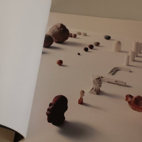 THINGS THAT GO TOGETHER / Michael Anastassiades [SOFTCOVER]