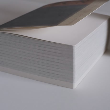 Diary / Philippe Weisbecker