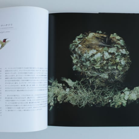 写真集 鳥の巣 50個の巣と、50種の鳥たち