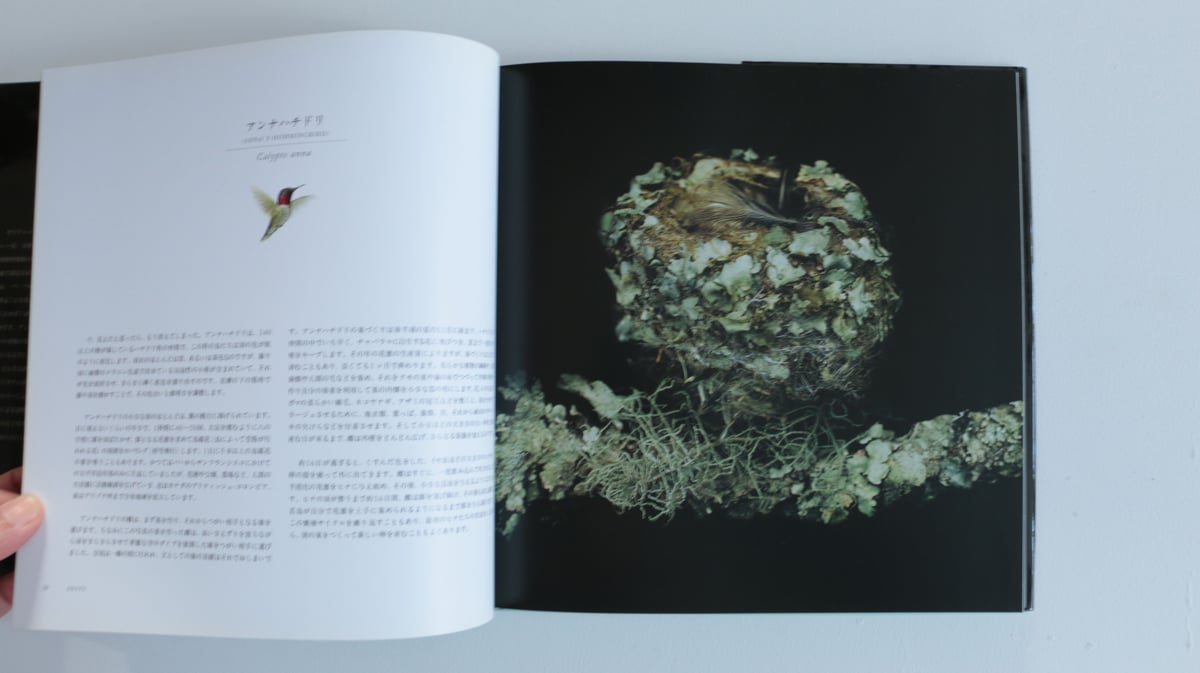 写真集 鳥の巣 50個の巣と、50種の鳥たち | archipelago