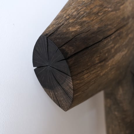 福井守Object ／クヌギ