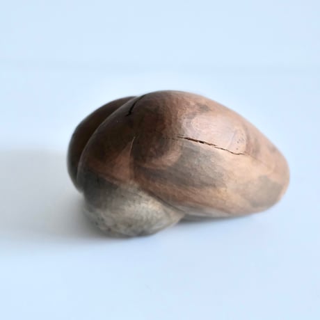 福井守 Object ／樹種不明