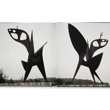CALDER: SMALL SPHERE AND HEAVY SPHERE ／Alexander Calder