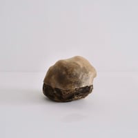 石黒幹朗／無題