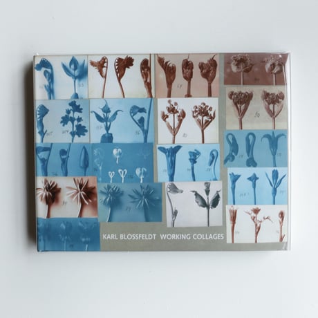 Karl Blossfeldt / Working Collages