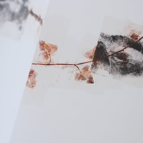 GIUSEPPE PENONE: THOUGHTS IN THE ROOTS / Giuseppe Penone
