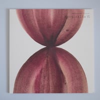 十場あすか　グラタン皿　2個セット 十場あすか/ 耐熱グラタン皿 | archipelago
