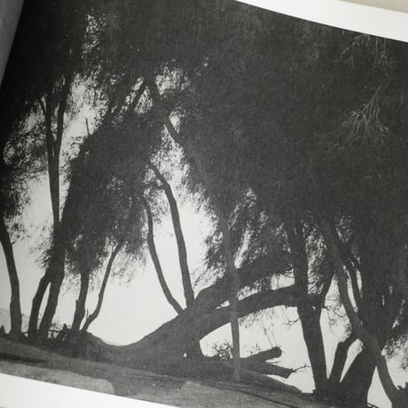 UNNAMED ROAD／Jungjin Lee