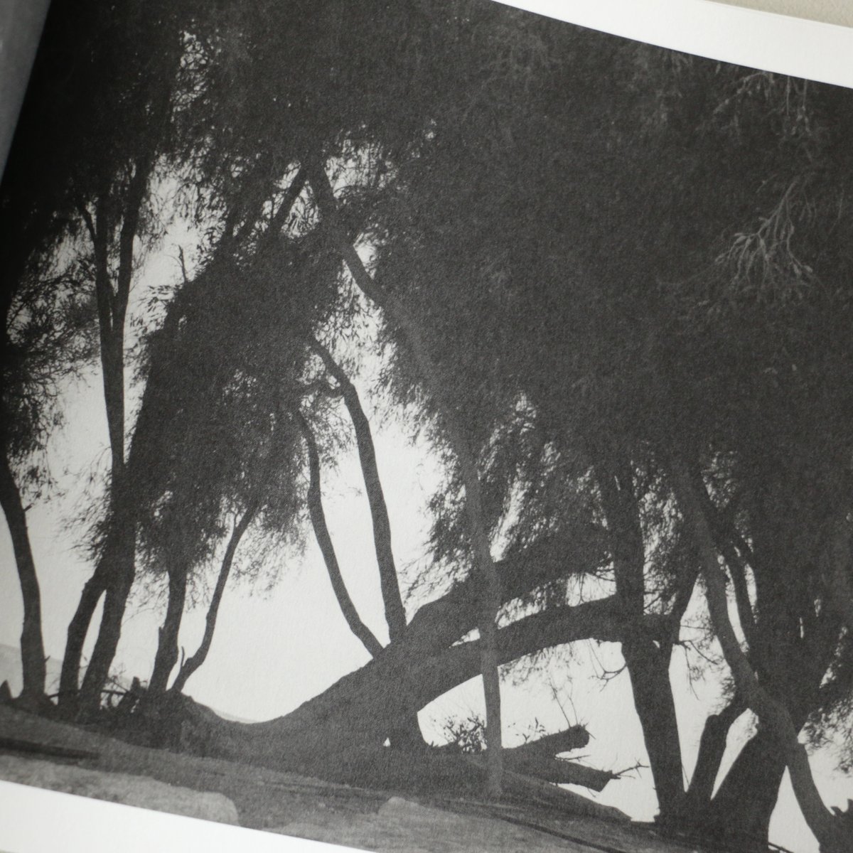 UNNAMED ROAD／Jungjin Lee | archipelago