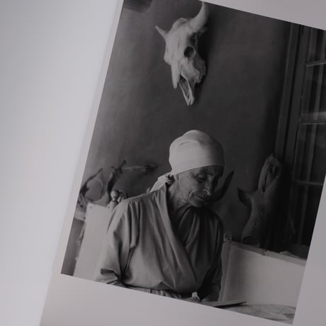 GEORGIA O'KEEFFE, PHOTOGRAPHER by Georgia O'Keeffe