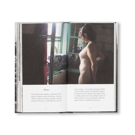 TRUE STORIES /  Sophie Calle