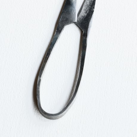 TAjiKA / HERB SHEARS