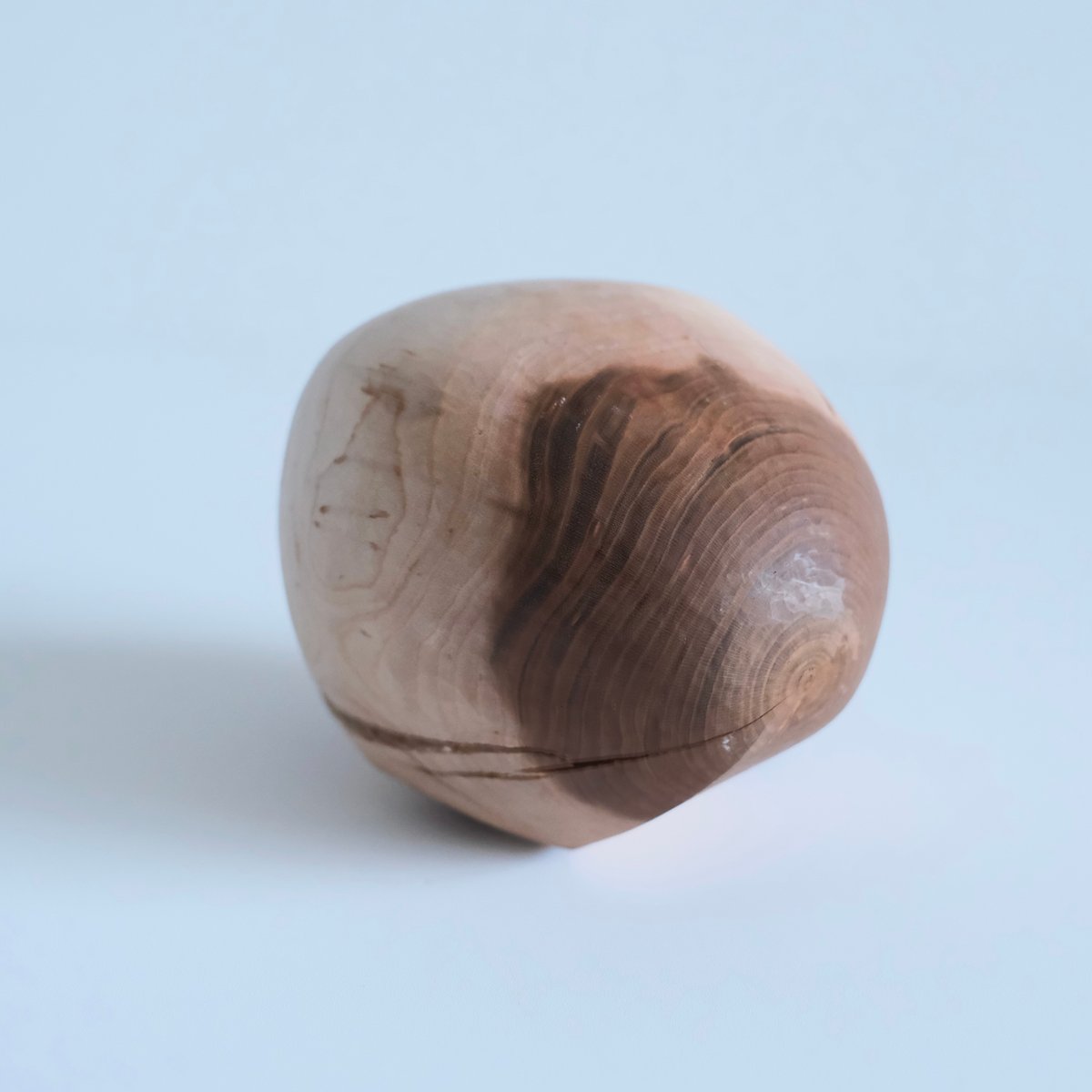 ✨希少✨福井 守さん作 木製オブジェクト 桜の木 福井守 Object／桜 | archipelago