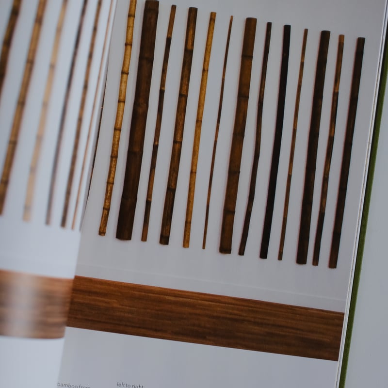 HERMAN DE VRIES - BASIC VALUES / Herman De Vrie