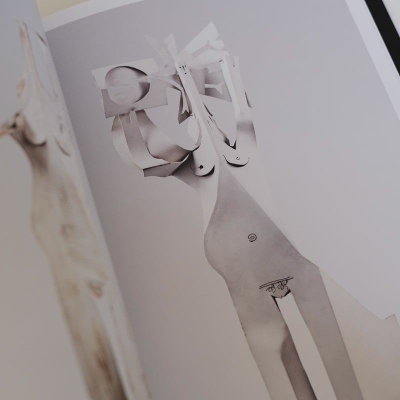 PICASSO: SCULPTOR - MATTER AND BODY/ Pablo Pica