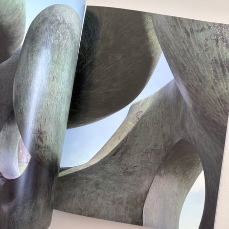 LATE LARGE FORMS / Henry Moore