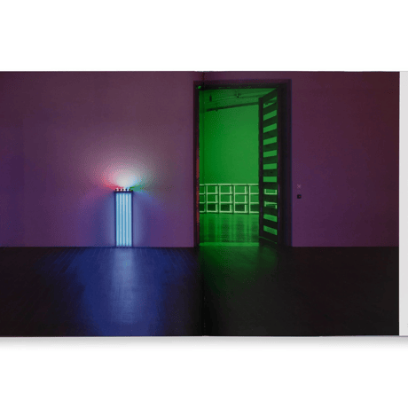 DEDICATIONS IN LIGHTS / Dan Flavin