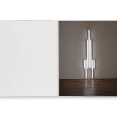 DEDICATIONS IN LIGHTS / Dan Flavin