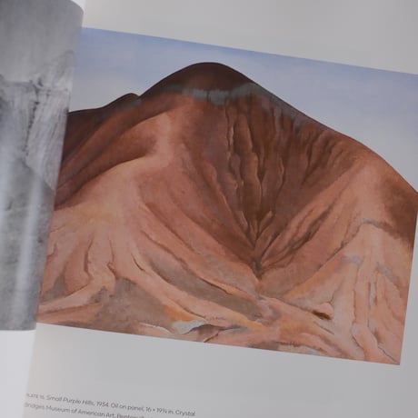 GEORGIA O'KEEFFE, PHOTOGRAPHER by Georgia O'Keeffe