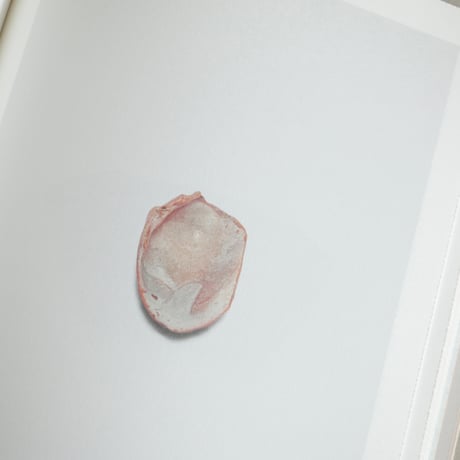 SHELL READER by Nina Canell