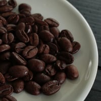 【定期便】AURORA BOOKS COFFEE 200g