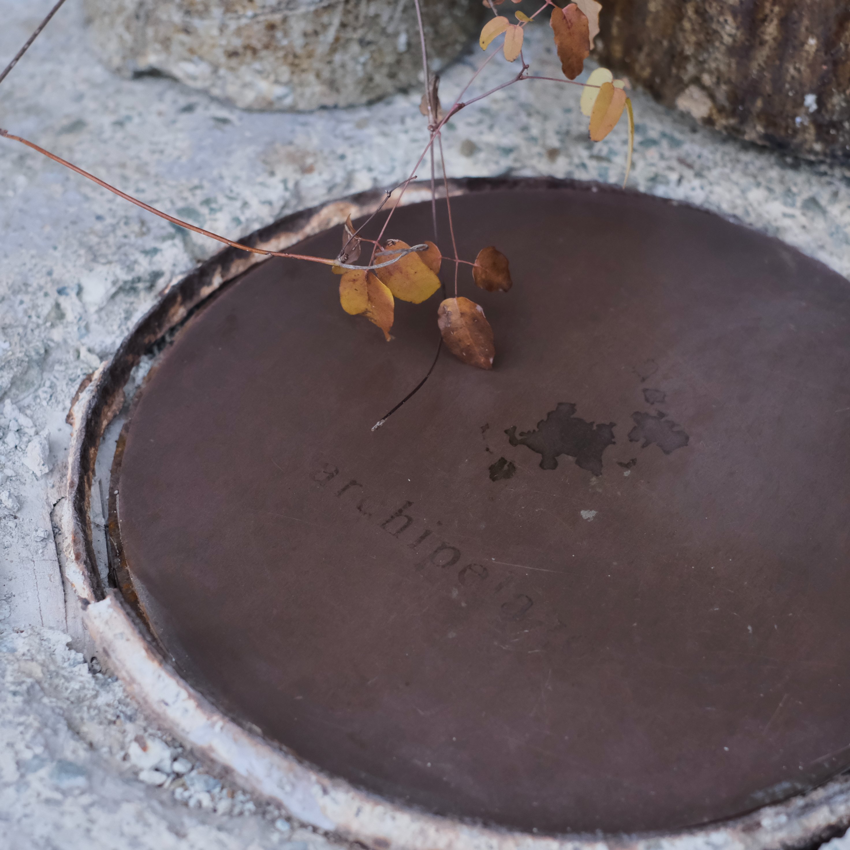 CATEGORY 石井直人（陶器） | archipelago