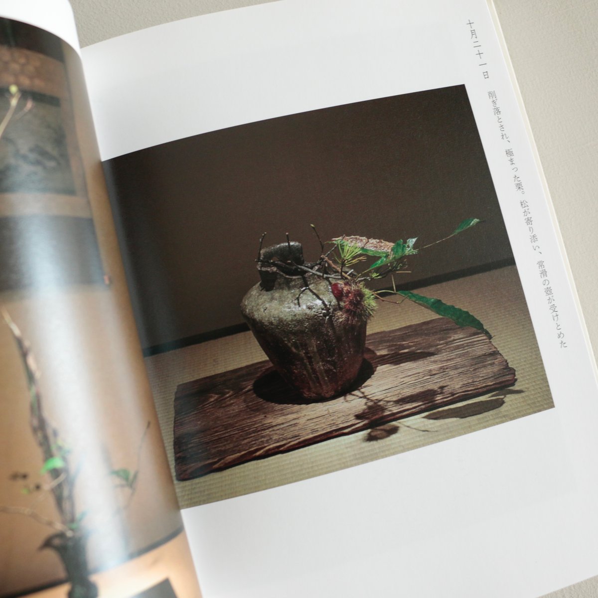 四時之花 なげいれ稽古録／川瀬敏郎 | archipelago