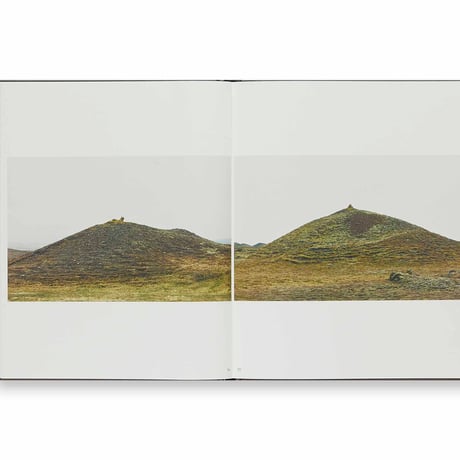 MOTHER, WONDER ／ Roni Horn