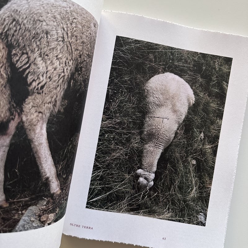 FORMAFANTASMA: OLTRE TERRA by Formafantasma | a