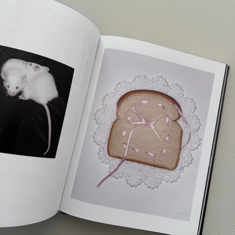 A MOUSE IN HER HOUSE / Lina Sun Park