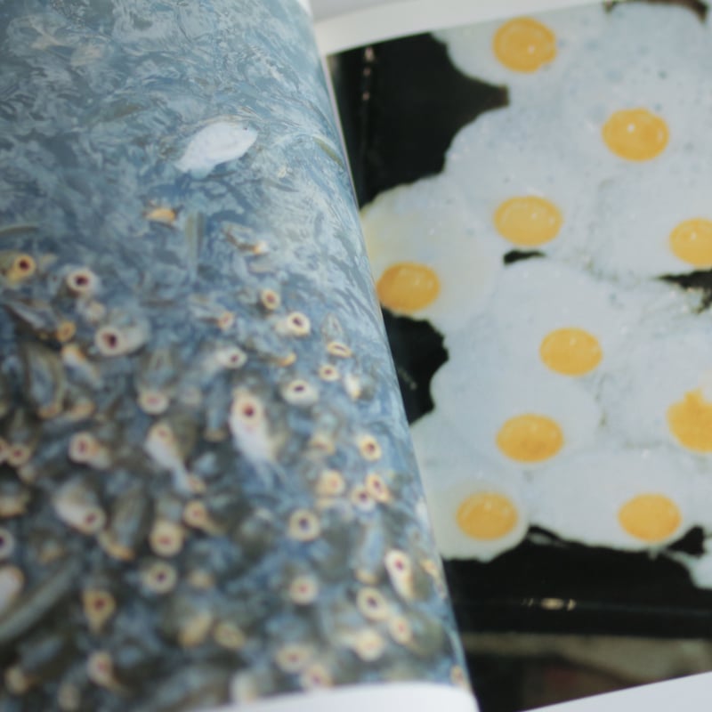 うたたね / 川内倫子 | archipelago