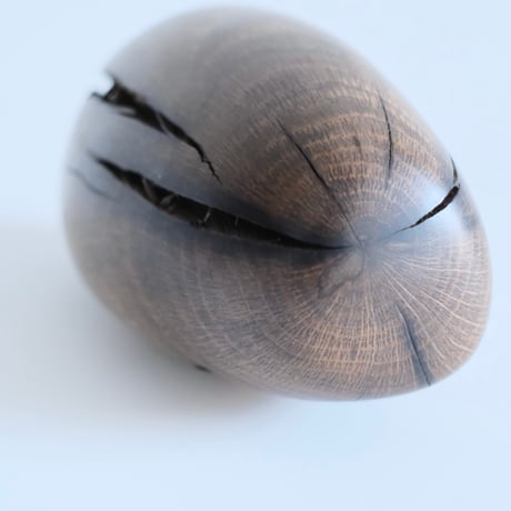 福井守Object /樫