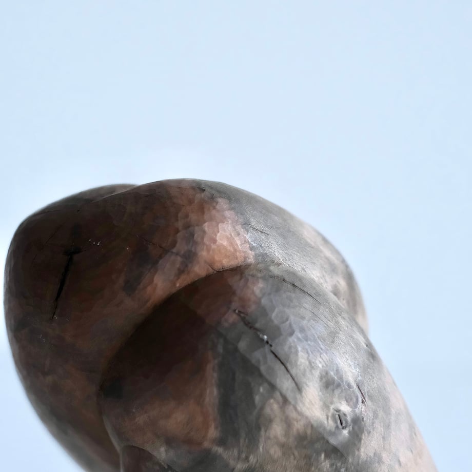 6a002253a2eab293496cf1e0