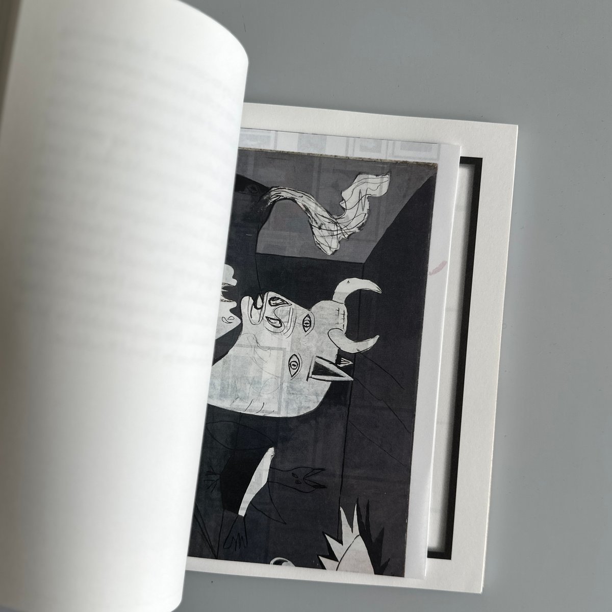 Sophie Calle『Picalso』アートブック／ソフィ・カル fit=scale-down,w=1200