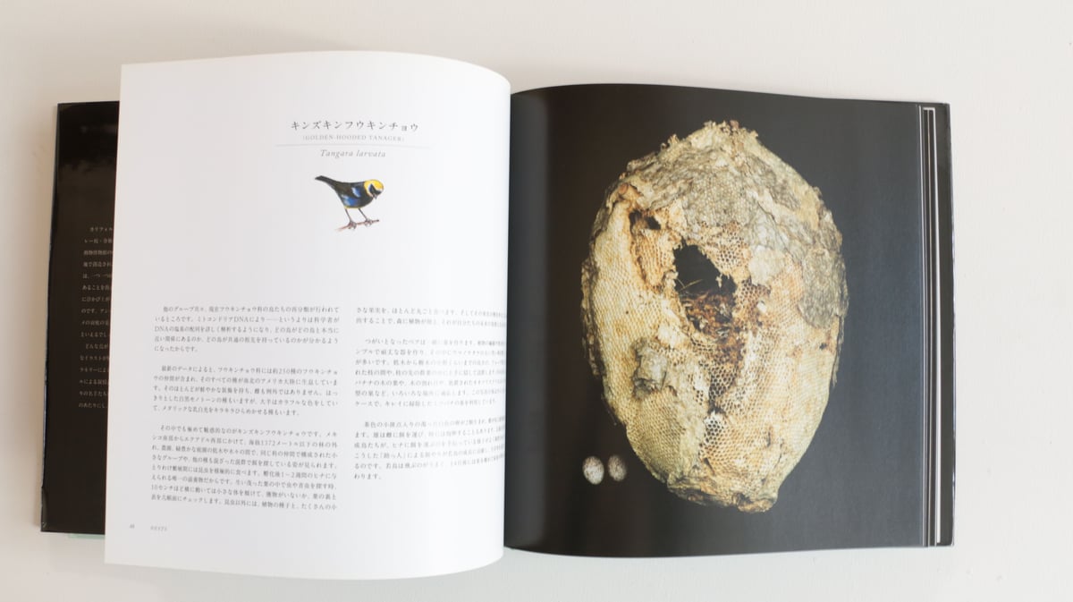 写真集 鳥の巣 50個の巣と、50種の鳥たち | archipelago