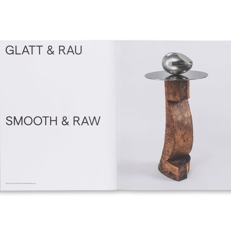 BRANCUSI / Constantin Brancusi