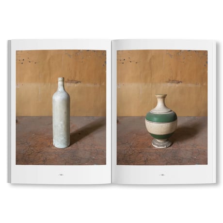 MORANDI'S OBJECTS. THE COMPLETE ARCHIVE OF CASA MORANDI / Joel Meyerowitz