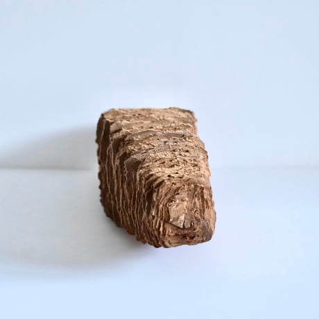 福井守 Object ／楠