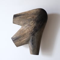福井守Object ／クヌギ