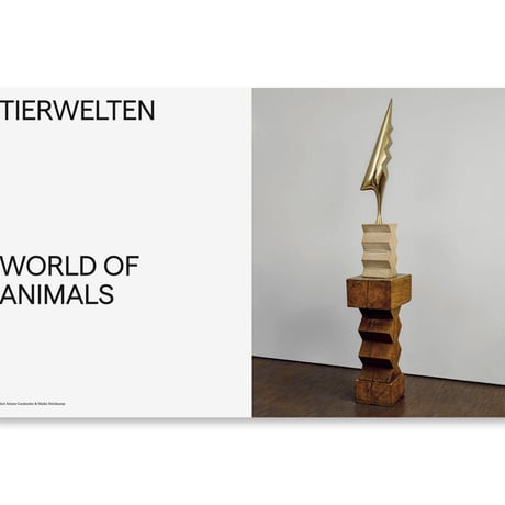 BRANCUSI / Constantin Brancusi